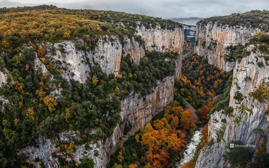 Mouth of Arbaiun, Navarre, Spain
