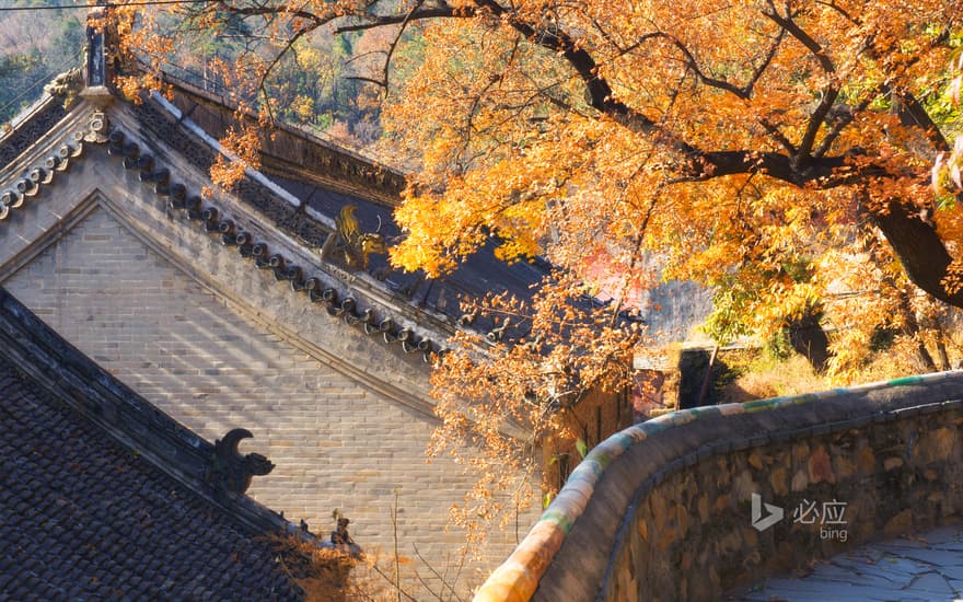 Beijing Tanzhe Temple Autumn Scenery