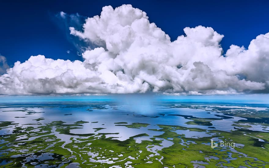 Aerial view of Everglades National Park, Florida, USA