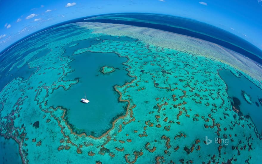 Great Barrier Reef, Queensland, Australia