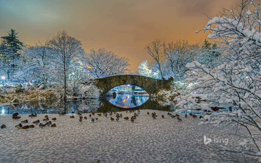 Gapstow Bridge in Central Park, New York City