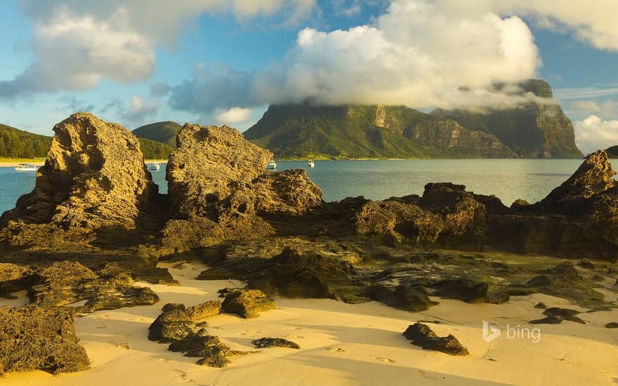 Limestone formations on Lord Howe Island, Australia