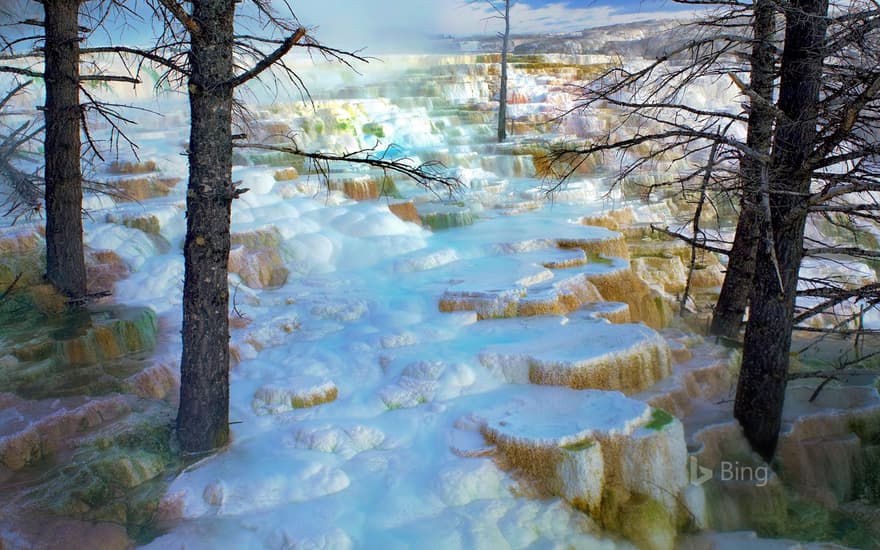 Minerva Terrace in Mammoth Hot Springs of Yellowstone National Park, Wyoming