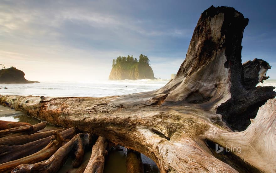 Second Beach, near Olympic National Park and La Push, Washington