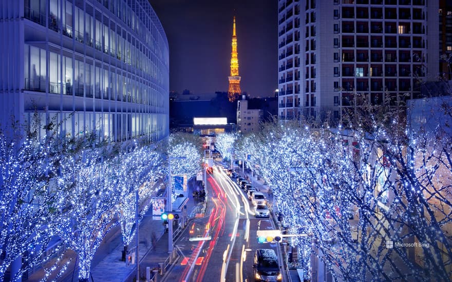 Keyakizaka Illuminations, Tokyo