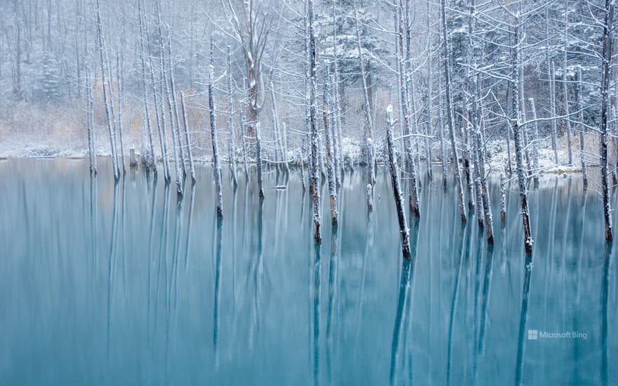 Blue Pond, Biei Town, Hokkaido