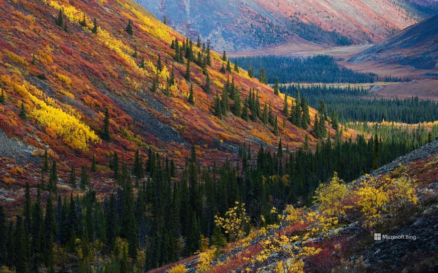 Autumn in the Ogilvie Mountains, Yukon,Canada